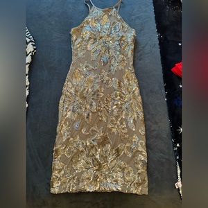 This dress was work to a wedding one time.   It’s a short silver dress